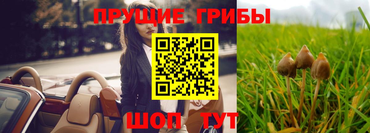 Ульяновск  Псилоцибиновые грибы Psilocybine cubensis  Галлюциногенные грибы Psilocybe  Вход с VPN 